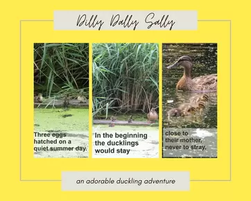 Dilly Dally Sally - new ducklings